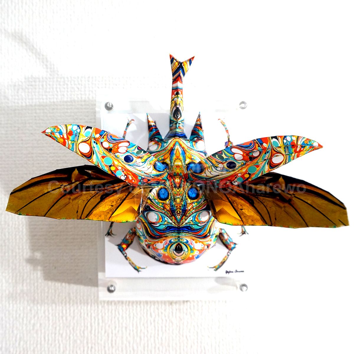 大村洋二朗 マーブリングなカブトは羽を広げる / 2024 / Craft / H22 × W26 × D15 mm