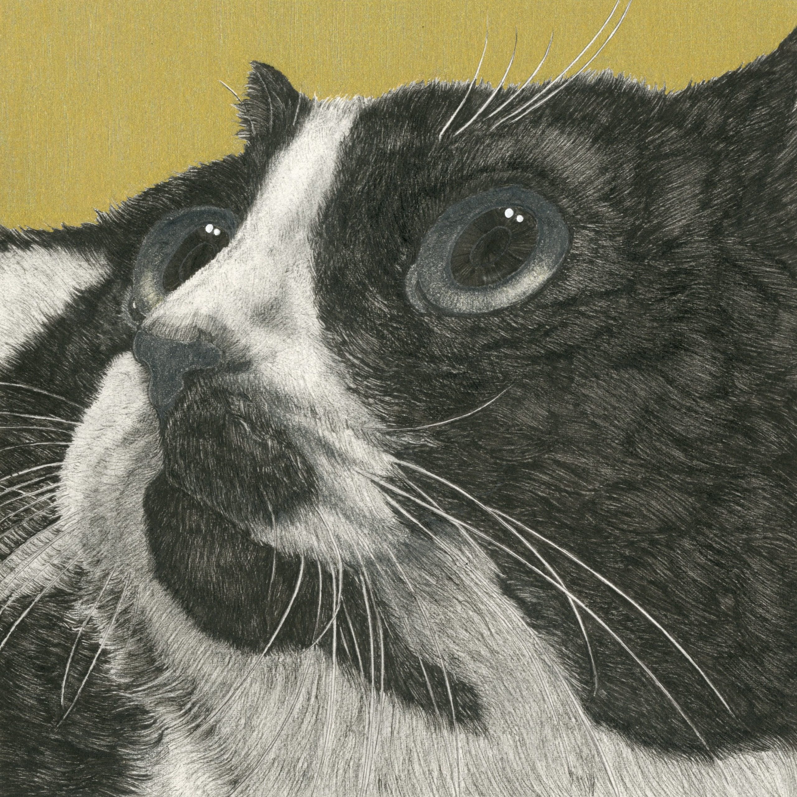 山田 貴裕 親愛 / 2025 / Other / H20 × W20 cm