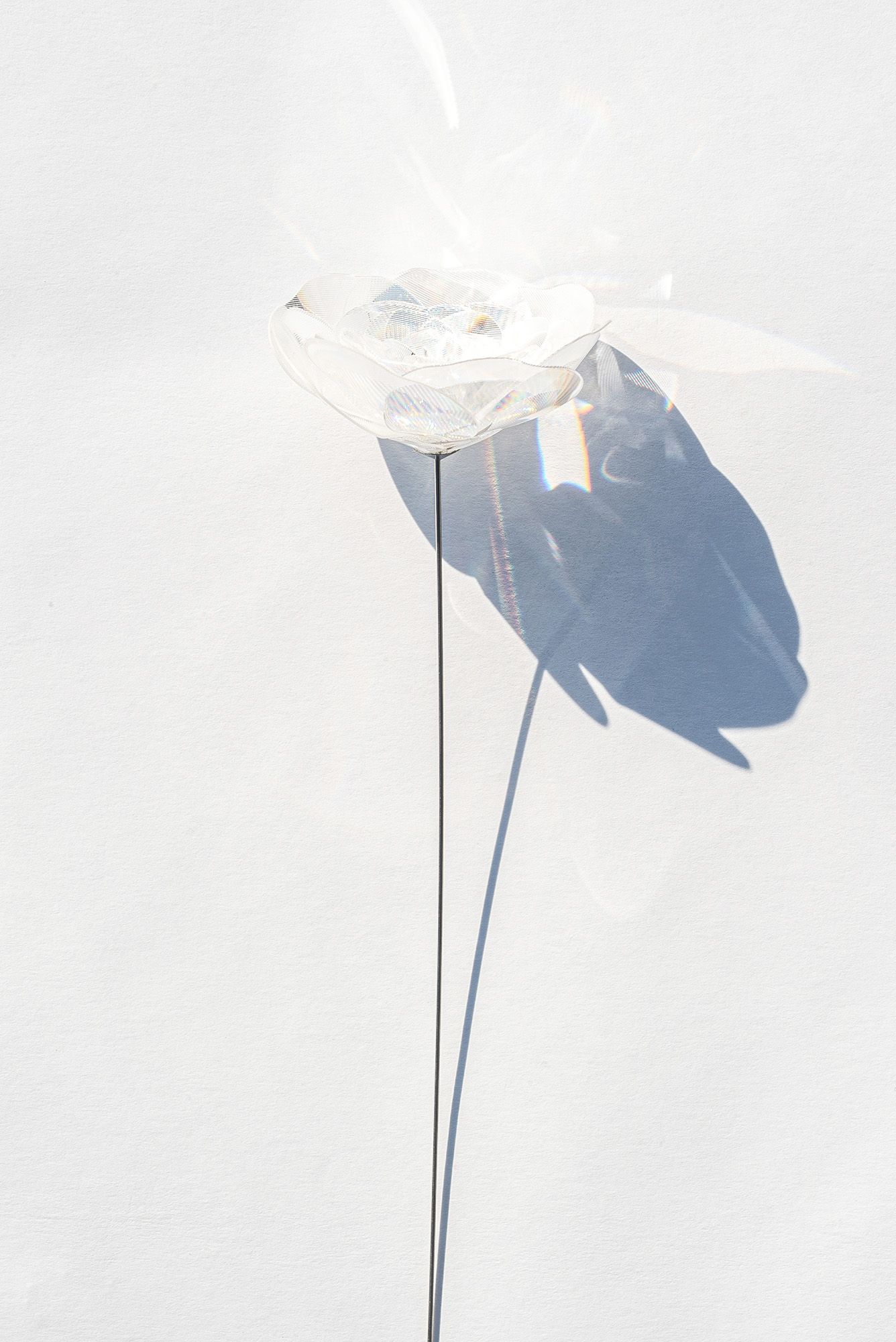松尾高弘 + EMISSION Prism Flower #1 / Ranunculus / 2026 / Craft / H28 × W5 × D8 cm