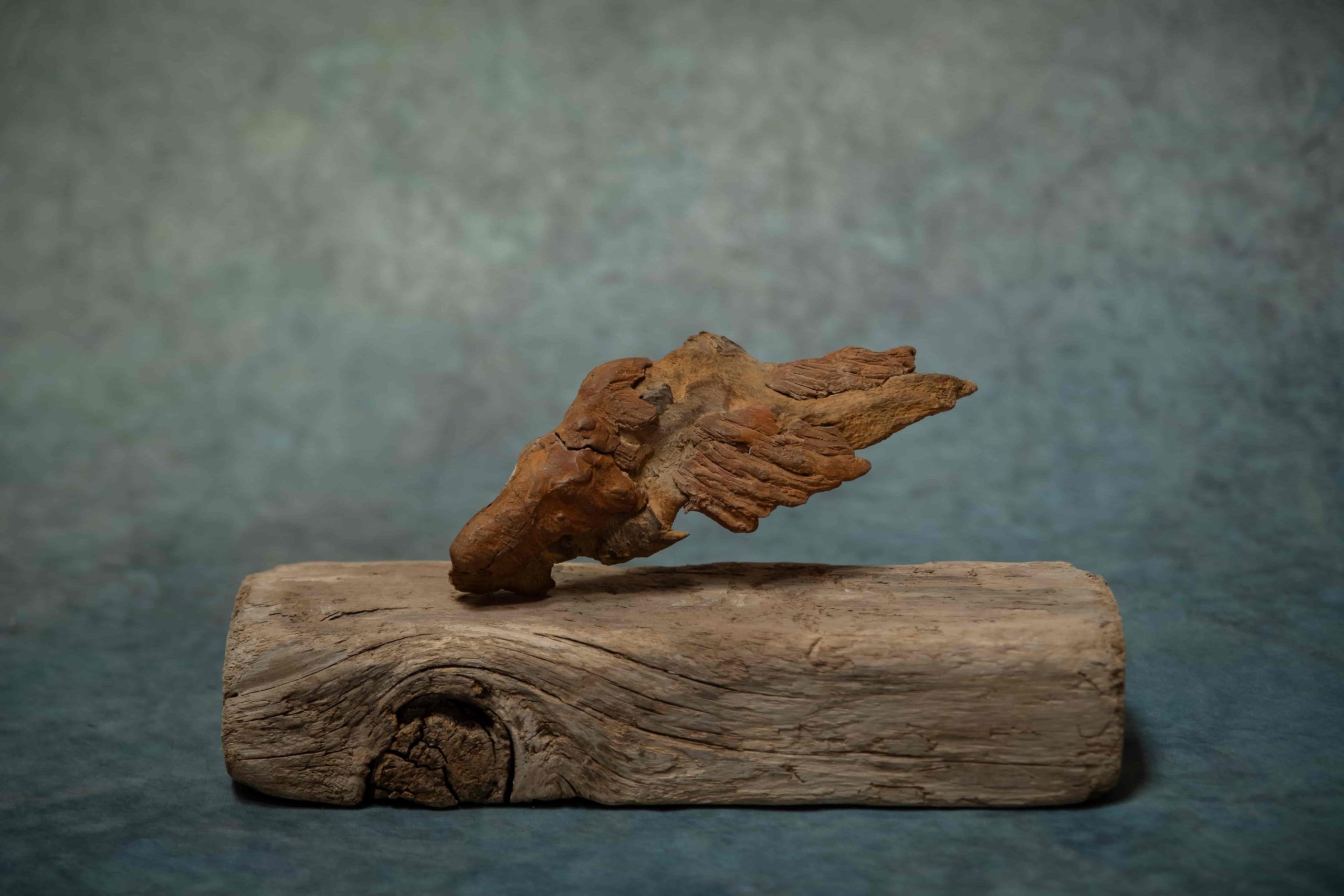 平松嵩児 飛べぬ者たちの祈り / 2025 / Sculpture / H10 × W21 × D6.5 cm