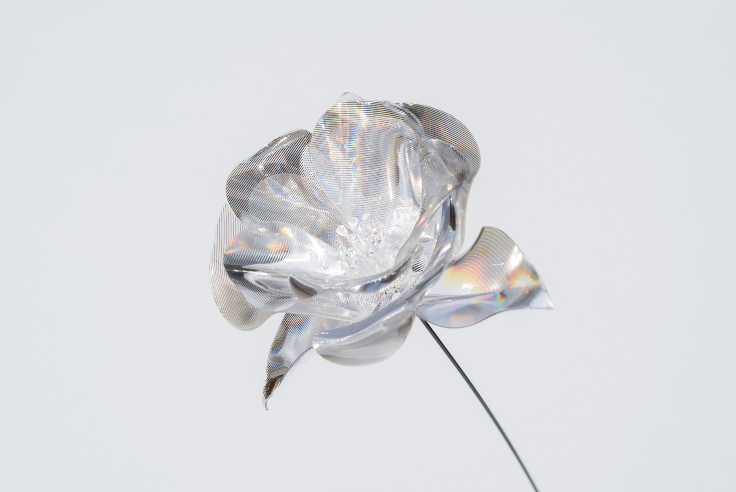 松尾高弘 + EMISSION Prism Flower #1 / Camellia / 2026 / Craft / H28 × W5 × D8 cm